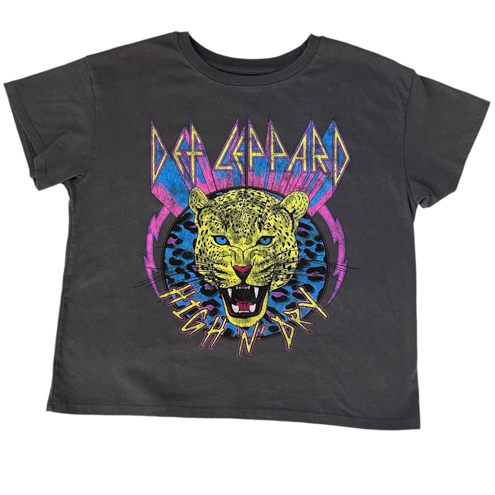 Kids Def Leppard short sleeved grey band t-shirt